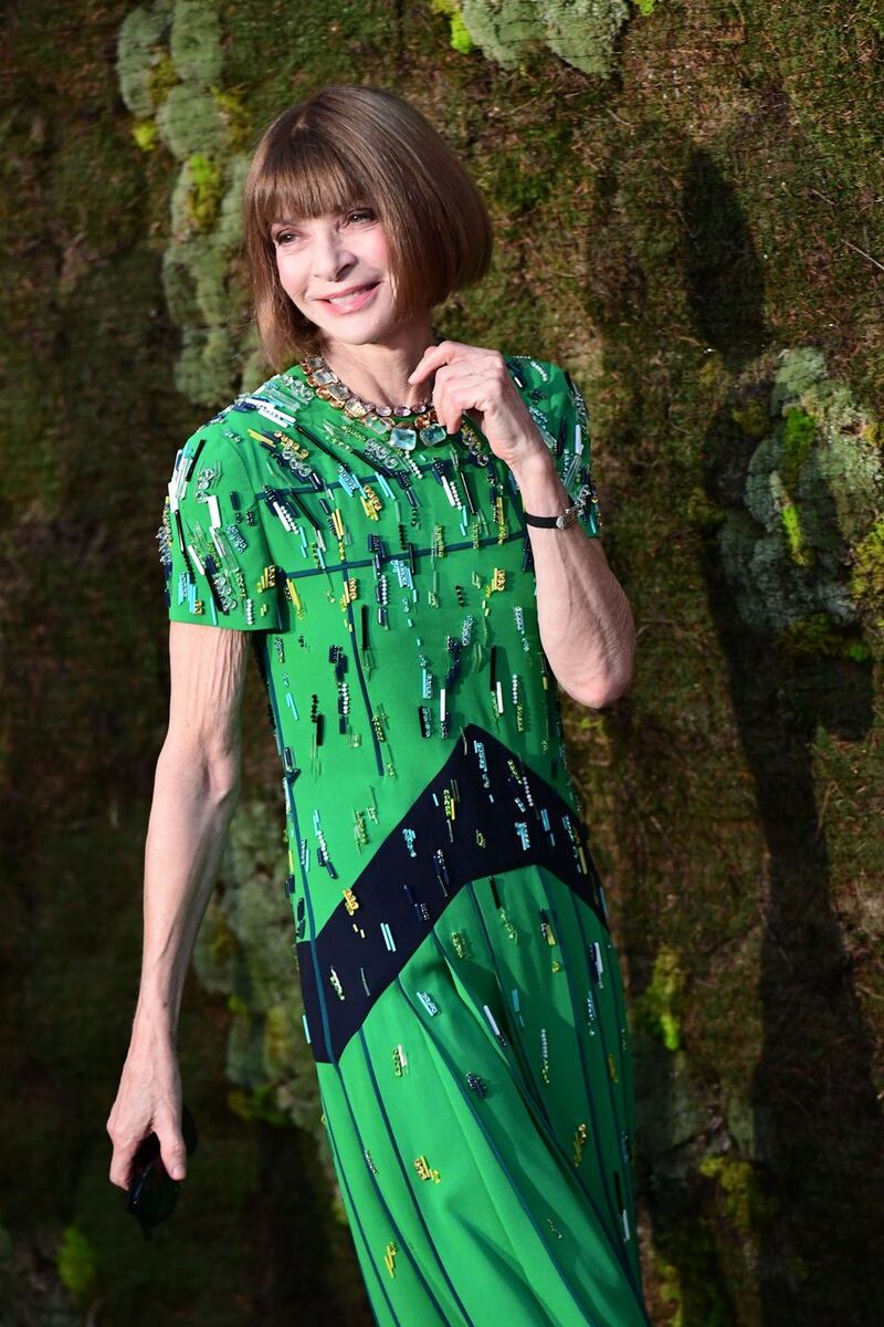 Green Carpet: Anna Wintour, editor-in-chief of American Vogue. Photograph: Miguel Medina/AFP/Getty