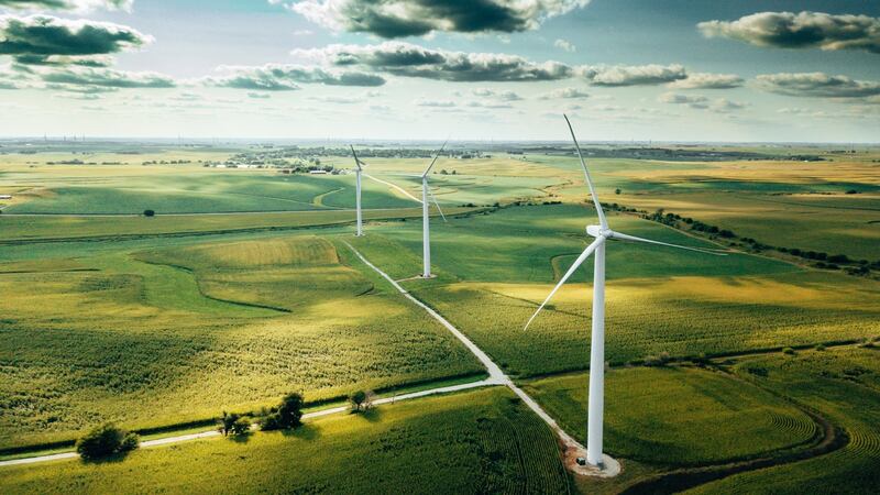 There are plenty of opportunities to study the environment and our role in protecting it, and a wide range of employment opportunities after study. Photograph: iStock