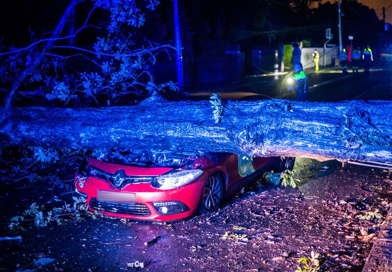 Emergency services at the scene where a driver escaped serious injury after his taxi was crushed by a large tree. Photograph: Damien Storan