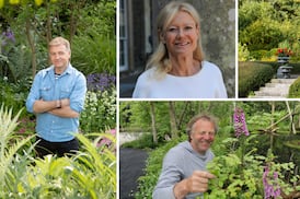 Carlow Garden Festival: What is the single best thing you can do for a garden of any size?