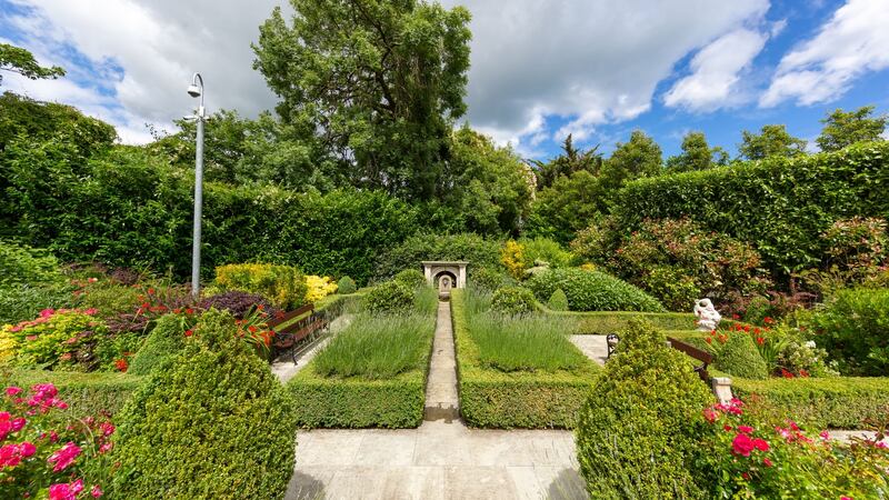 The garden: the most striking - and romantic - section of it is the lavender and box formal parterre