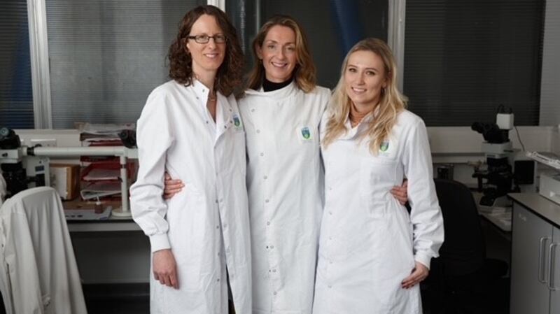 The AI_PREMie team: Prof Fionnuala Ní Áinle; Prof Patricia Maguire and Dr Paulina Szklanna. Photograph:  Fran Veale