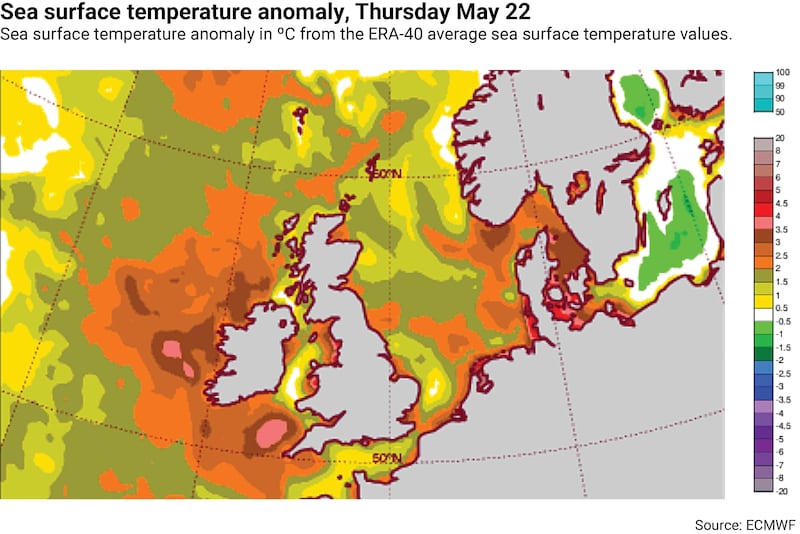 ECMWF