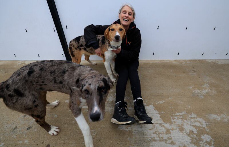 Valerie Byrne with Archie and Mouse.  Photograph: Nick Bradshaw