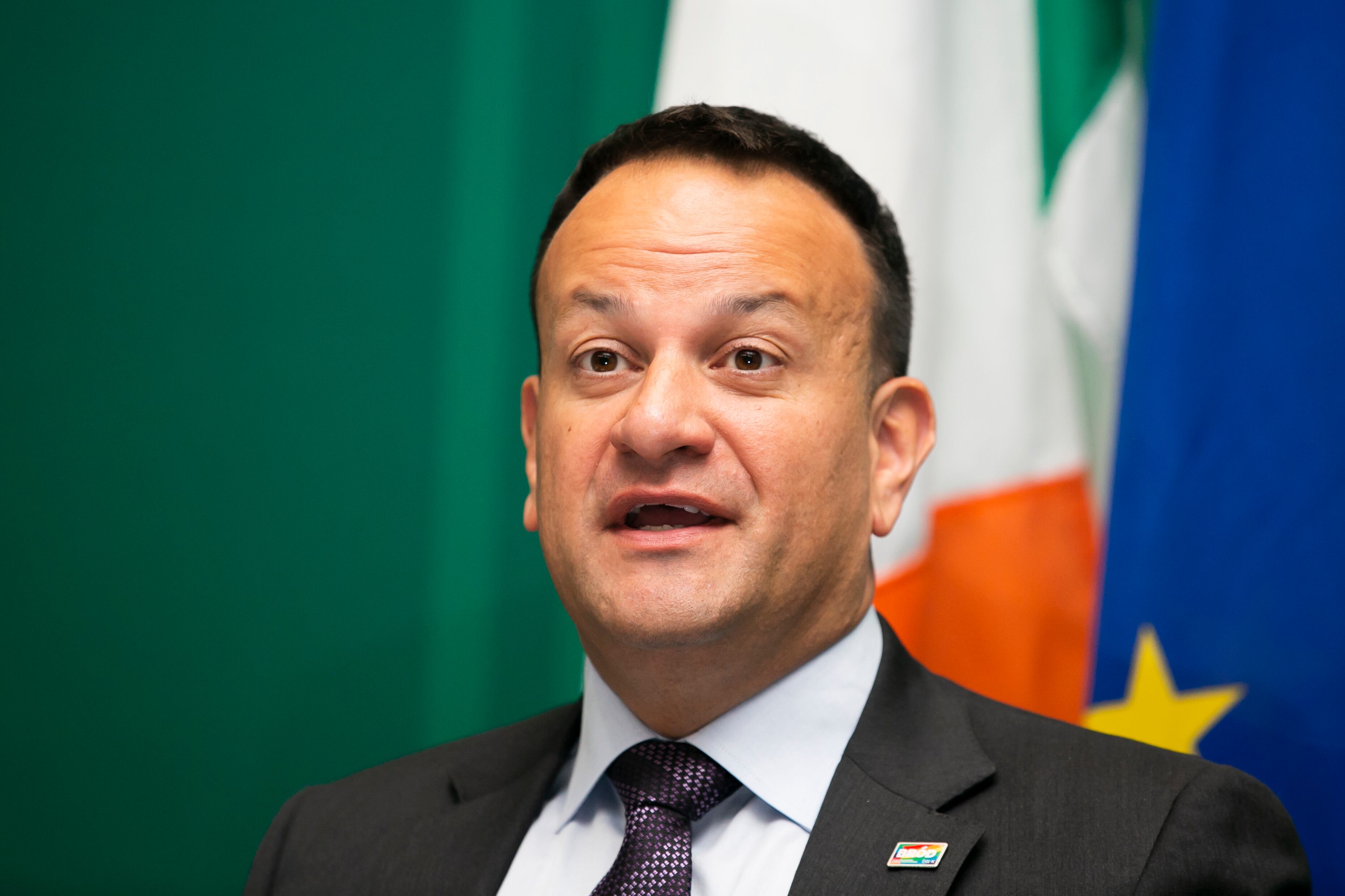 Ethics watchdog member feared ‘credibility’ issues over rejection of Varadkar leak complaint