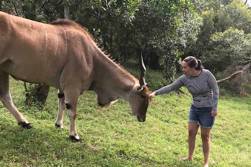 Opportunity beckons in east Africa says Kildare woman based there for 20 years