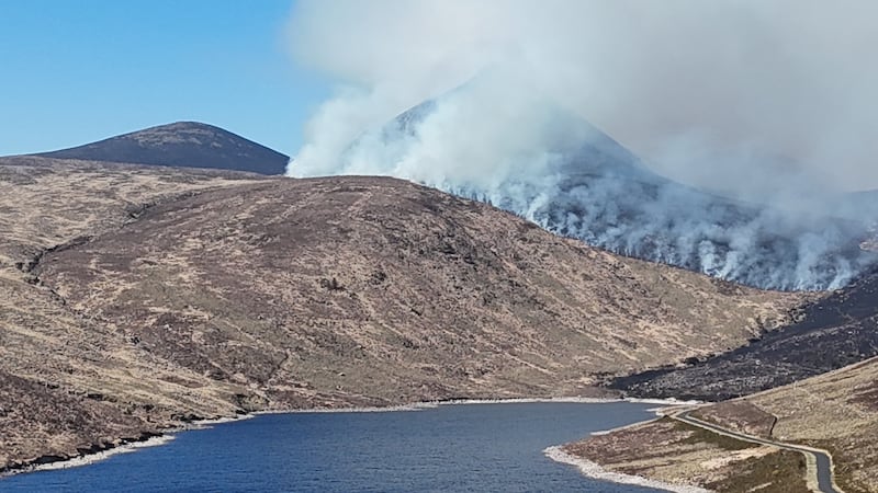The wildfire at Bloody Bridge in Co Down, which is among almost 150 wildfires that firefighters have tackled in Northern Ireland across three days. Photograph: NIFRS/PA Wire
