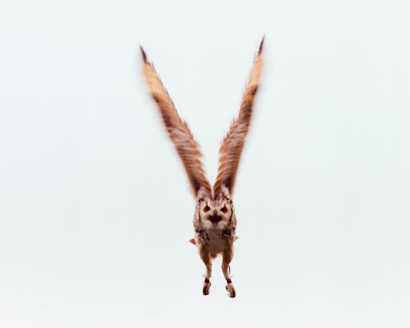 Photograph: Yvette Monahan