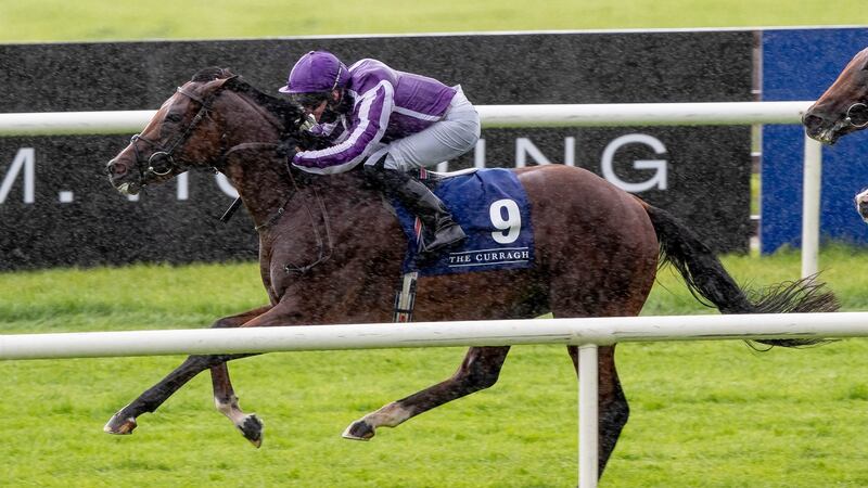 St Mark’s Basilica will miss the Juddmonte International after picking upa leg injury. Photograph: Morgan Treacy/Inpho