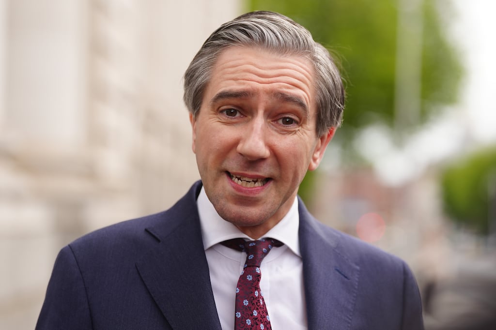 Simon Harris is manifestly a clever politician who made a career out of sensing what people want to hear and echoing it. Photograph: Brian Lawless/PA Wire