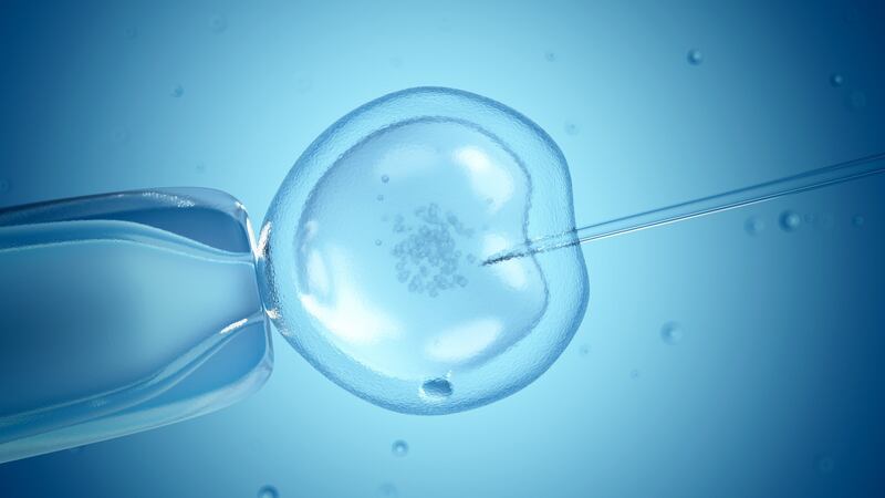 IUI involves the injection of a prepared sperm from the male partner into the woman’s womb around the time of ovulation.
