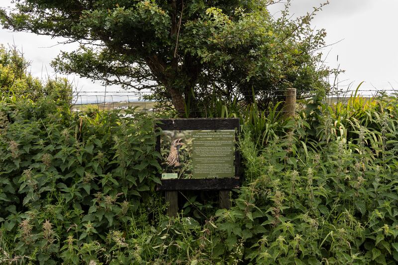 A sign with information about the corncrake bird is displayed on the outskirts of a field in Belmullet. Photograph: Paulo Nunes dos Santos/The New York Times
