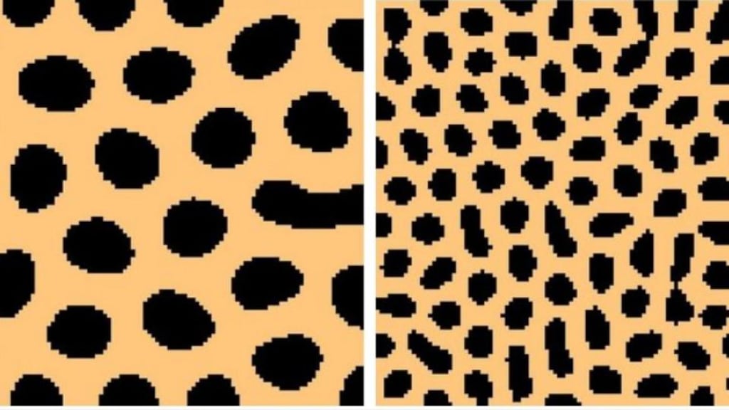 Colour patterns produced by a reaction-diffusion maths model with  different inputs