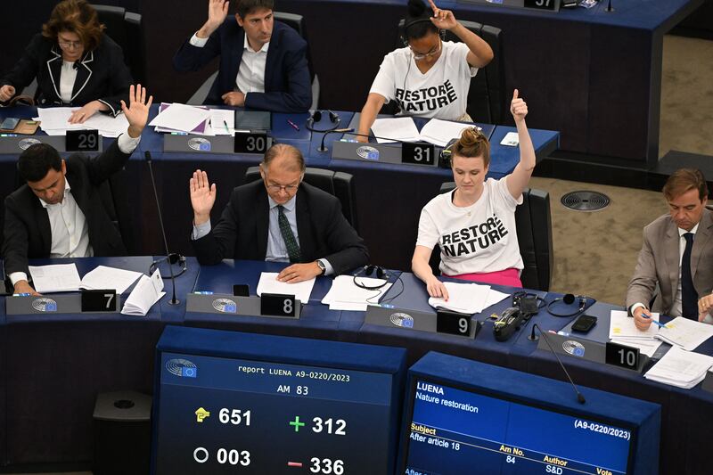Members of the European Parliament, some in 'Restore Nature' T-shirts,  take part in a voting session on the EU Nature Restoration Law in Strasbourg, France,  last month. The law text passed with 336 votes in favour, 300 against and 13 abstentions, setting the scene for the parliament to negotiate a final law with EU member states. Photograph: Frederick Florin/AFP/Getty