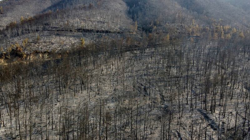 A burnt mountain after a wildfire in Papades village on Evia island in Greece. Photograph: Michael Varaklas/AP Photo