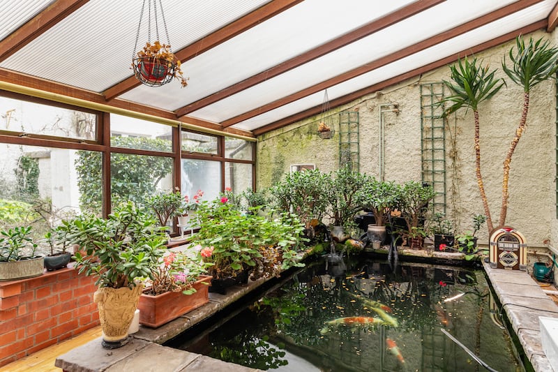 Conservatory with koi carp pond