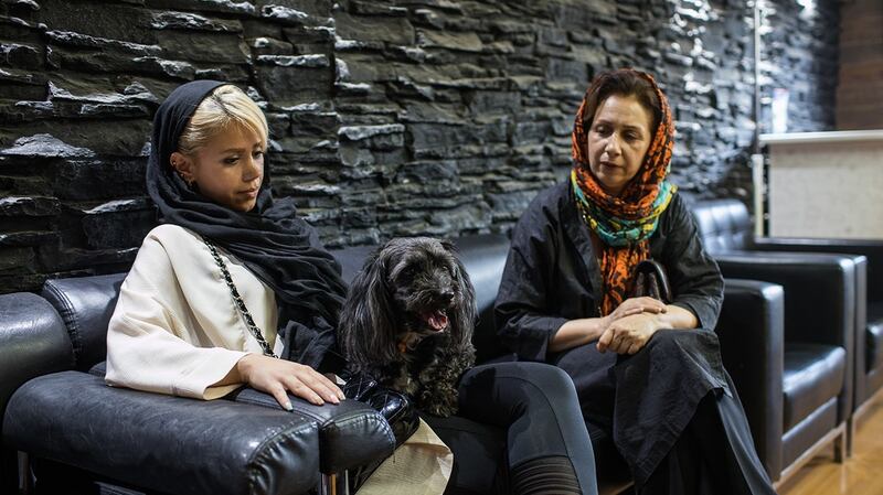 Mandana and her mother with Mandana’s four-year-old dog at the vet clinic in Tehran.  Photograph: Arash Khamooshi via The New York Times