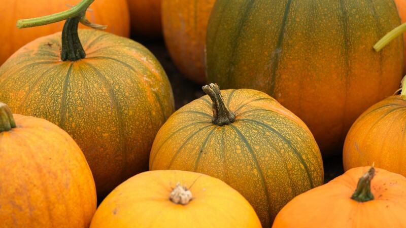 Pumpkins