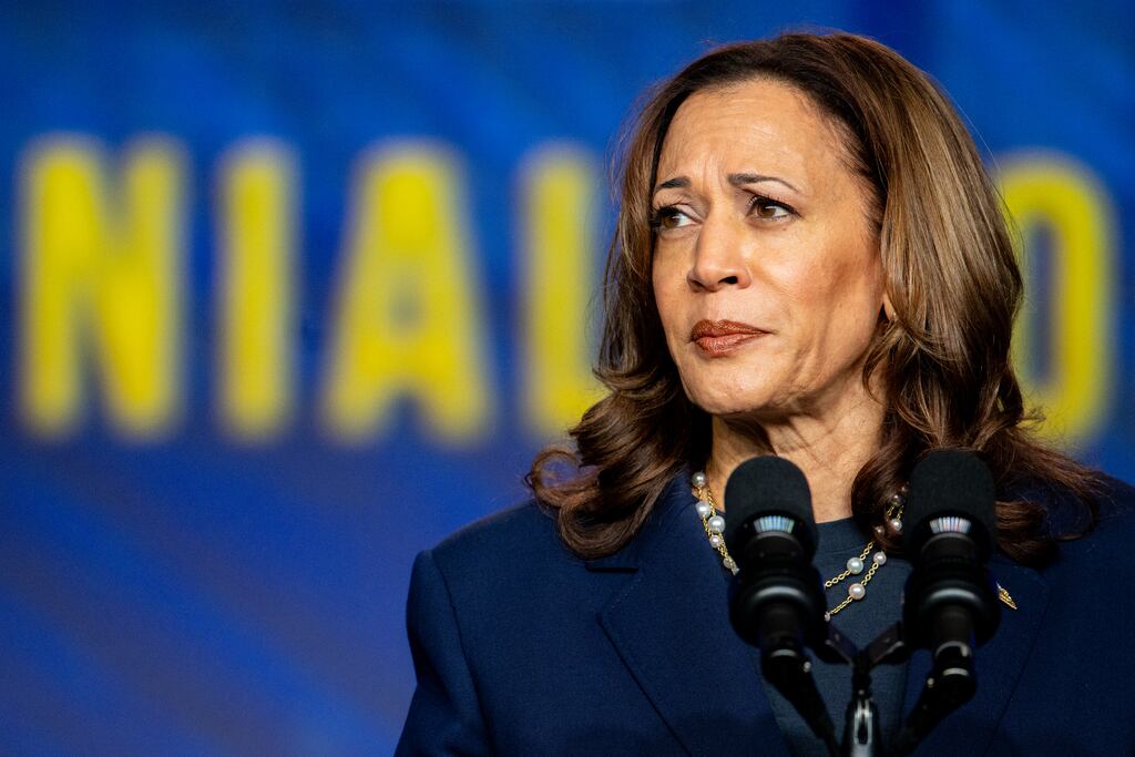 Democratic presidential candidate and US vice-president Kamala Harris. Donald Trump calls her evil, unhinged and sick. Photograph: Brandon Bell/Getty Images