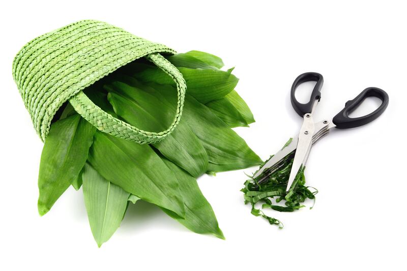 Photograph: iStock