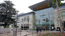 Dundrum Town Centre co-owner takes further €58.3m hit on Irish shopping malls