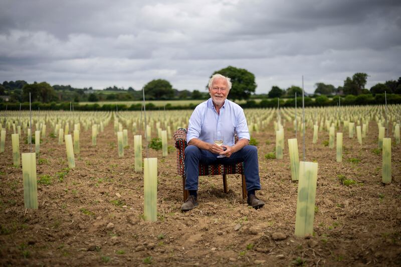 Paulus Willem Heemskerk has planted 36,000 vines at the Fennor estate in Slane, which will produce close to 90,000 bottles. Photograph: Chris Bellew/Fennell Photography