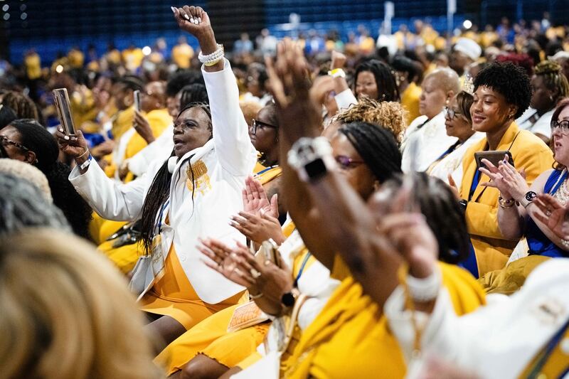 Attendees cheers as Kamala Harris speaks at Sigma Gamma Rho Sorority gathering in Houston, Texas, on July 31st. Photograph: Erin Schaff/New York Times
                      