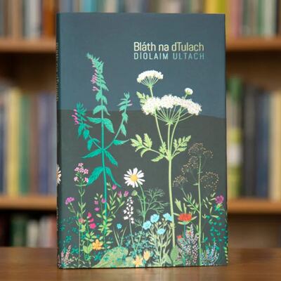 Bláth na dTulach Díolaim Ultach - bailiúchán gearrscéalta ó scríbhneoirí comhaimseartha. Eoghan Mac Giolla Bhríde, Mícheál Ó Domhnaill, Réaltán Ní Leannáin. Foilsithe ag Éabhlóid.