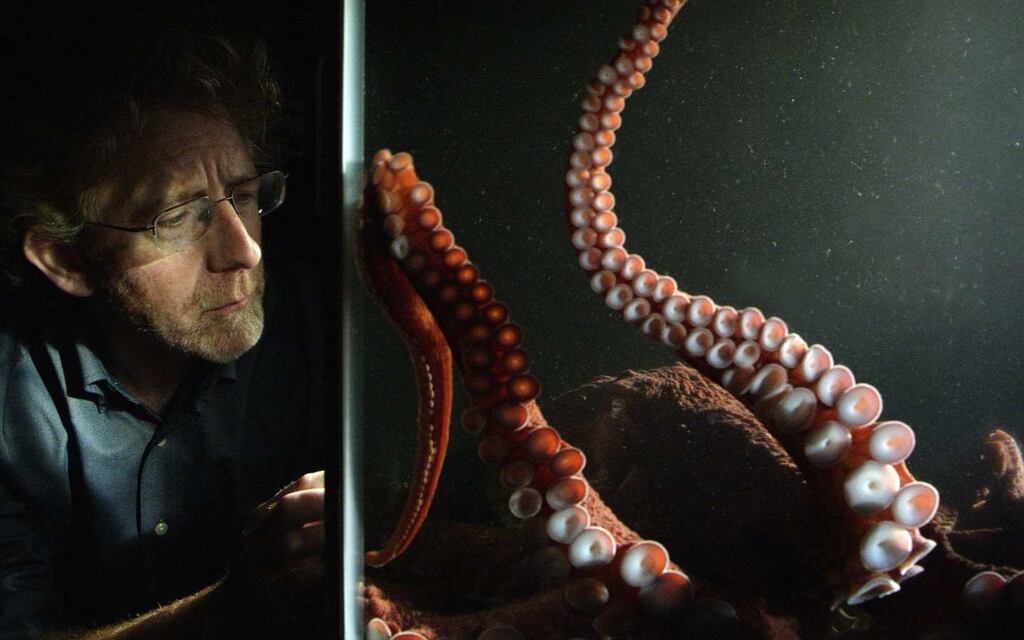 David and Heidi: Octopuses can use tools, recognise faces, hold grudges, and use an iPhone