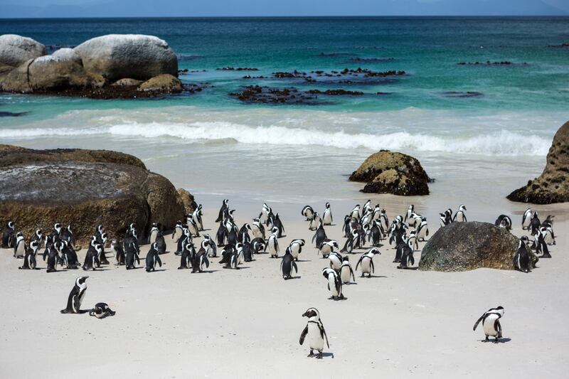 Visit incredible worldwide destinations