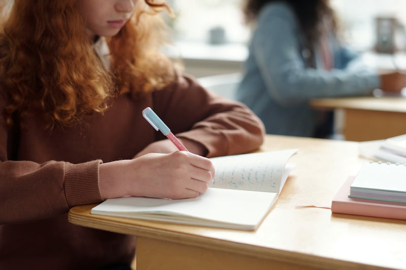 Principals are being asked to lead the new senior cycle reform which is both philosophically and practically contentious. Photograph: iStock