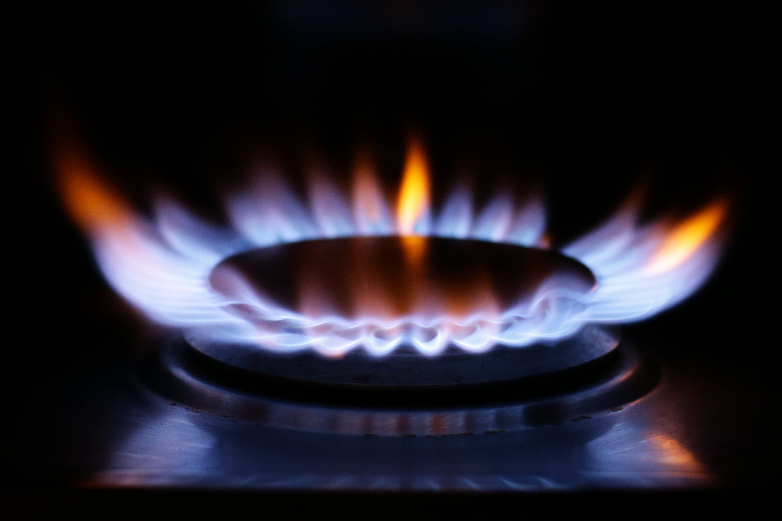 Gas Networks Ireland to pay €66m dividend to Government