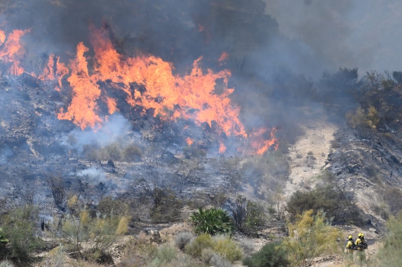 Firefighters work to extinguish fire in the area of a wildfire that killed 11 near Bedar, in Los Gallardos district, in Almeria Province. Photograph: Getty Images