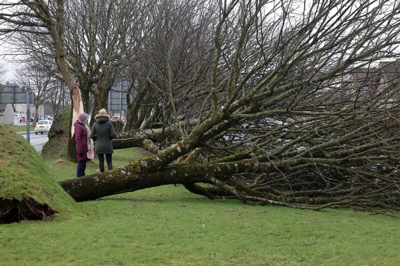 Fallen trees at Browne Roundabout, in Galway City as  Storm Eowyn moved across the country. Photograph: Alan Betson 