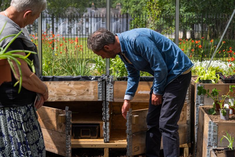 'The sun powers plants through photosynthesis, and solar panels have a very similar process. I was drawn to the comparison between the natural world and the more futuristic renewable energy technologies.' Photograph: Patrick Bramley