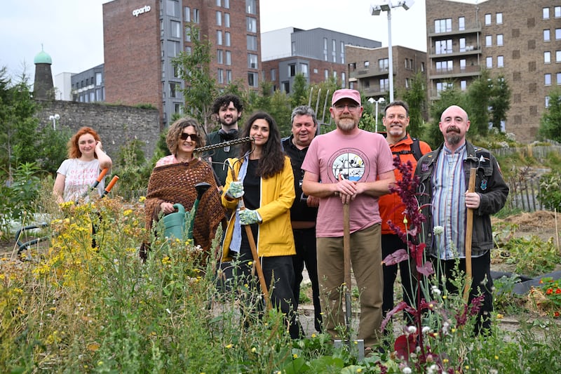 Isabel Vega, Aoife Clavin, Irene Rondini, Fergal Butler, Robert Parkinson, Pitt Fagan, Conor  Courtney and Brian Marron at work in Taplin's Fields Community Garden. Photograph: Bryan Meade/The Irish Times