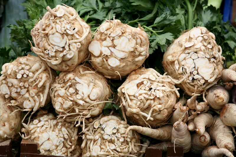 Celeriac's sweet, nutty, slightly aniseed taste is improved by exposure to winter frosts