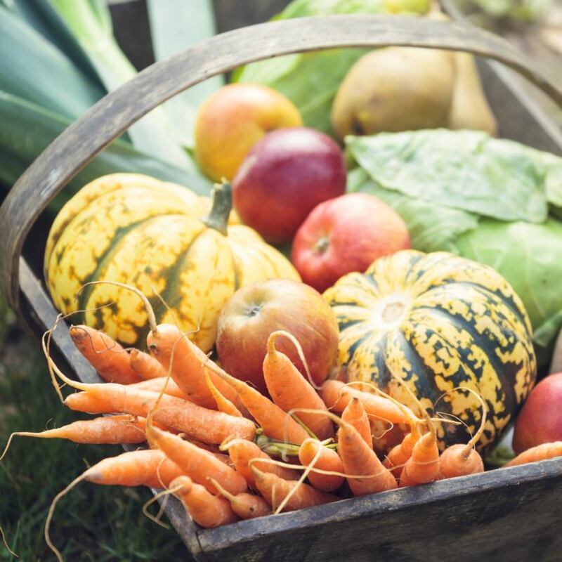 Photograph: iStock