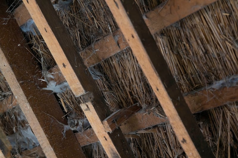 The beams supporting the thatched roof had housed their fair share of woodworm over the years. Photograph: Patrick Browne
