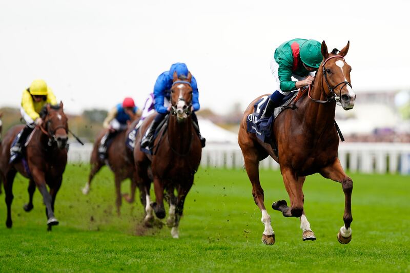 Mickael Barzalona riding Calandagan to win The Qipco Champion Stakes at Ascot Racecourse on October 18th, 2025. Photograph: Alan Crowhurst/Getty Images