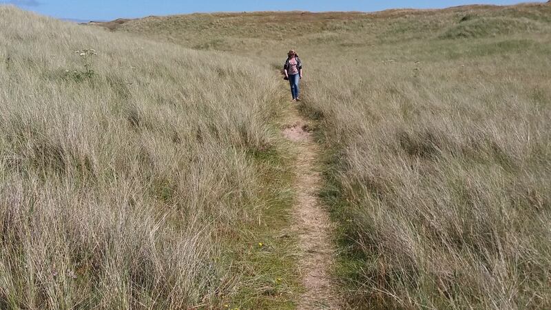 Walking on Lindesfarne Nature Reserve. Photograph: Des Fox