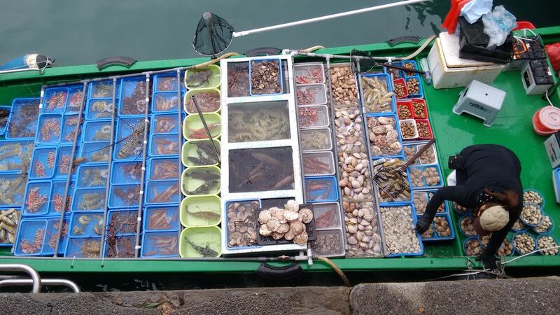 Pick your favourite seafood from one of the many small boats moored by the pier at the Sai Kung fishing village. Photograph: Pat Craven