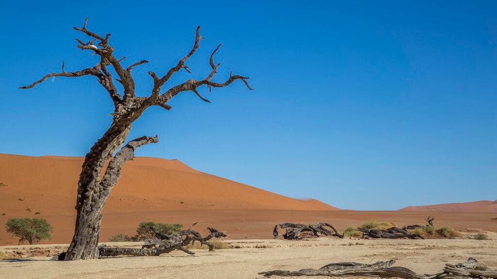 Namibia can provide savannah plains, giant sand dunes and impressive coastlines in one holiday.