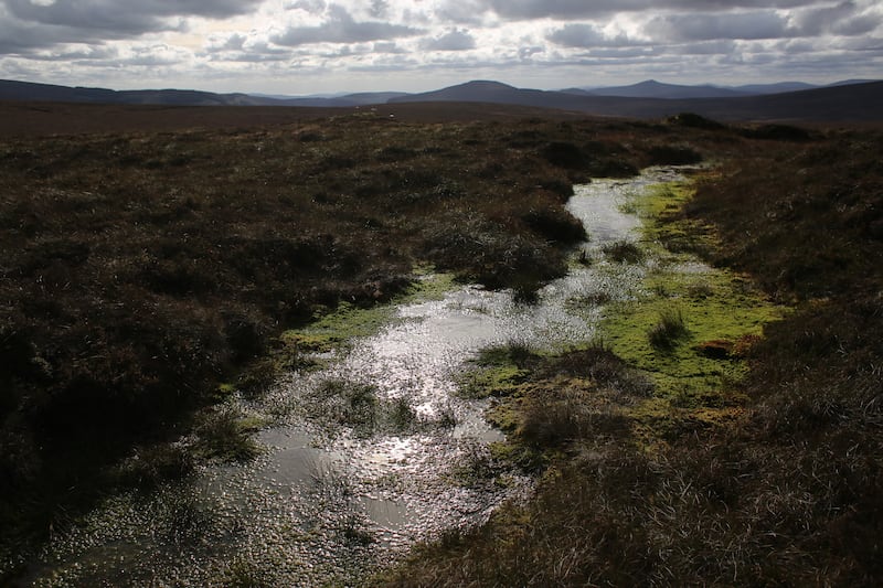 The source of the river Liffey lies in the Liffey Head Bog. Photograph: Bryan O'Brien