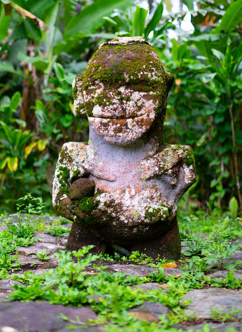 Smiling tiki. Photograph: Lionel Gouverneur