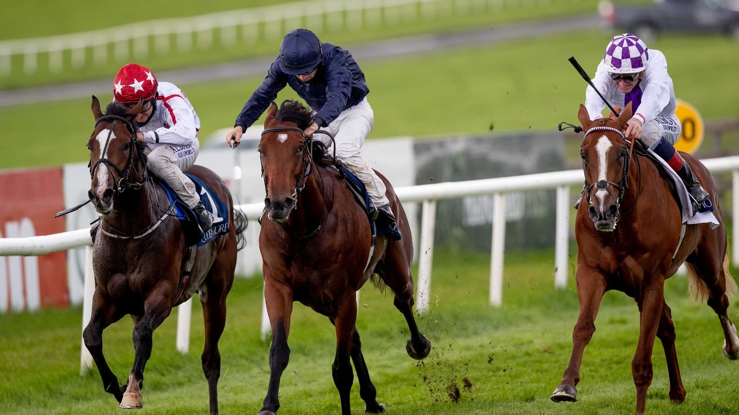 Mac Swiney to take chance in Derrinstown Stud Derby Trial