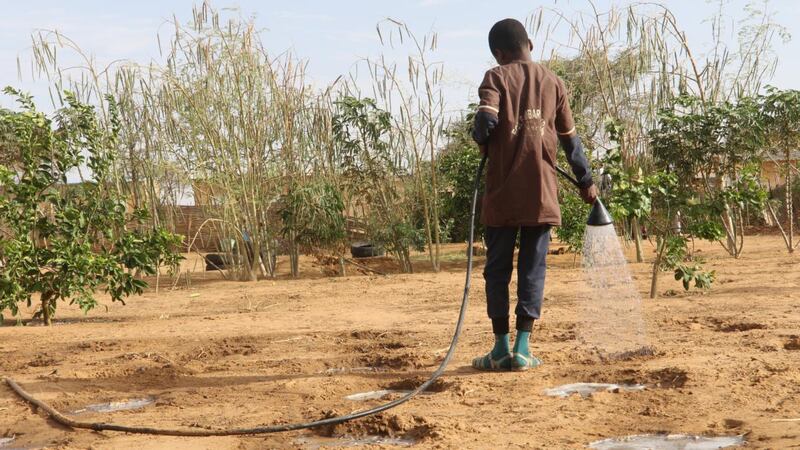 Watering the school garden in Mbar Toubab. Photograph: Boubacar Badji