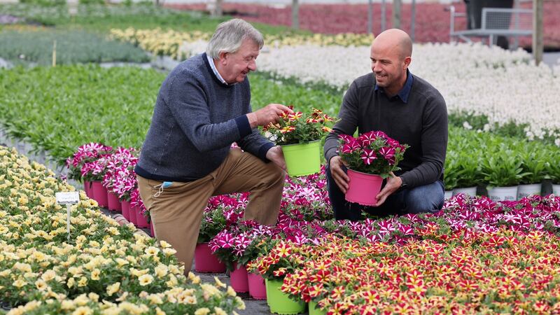 Martin Tully snr and Pádraig Tully, at Tully Nurseries, Ballyboughal, Co  Dublin.  The business has struggled to find alternative plant suppliers in Europe. Photograph: Dara Mac Dónaill / The Irish Times