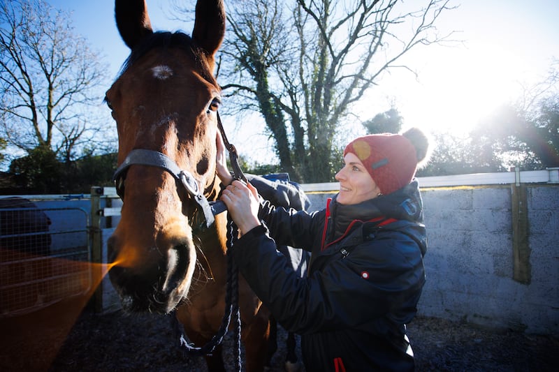 Envoi Allen is out to land a Down Royal record on Saturday. File photograph: Tom Maher/Inpho