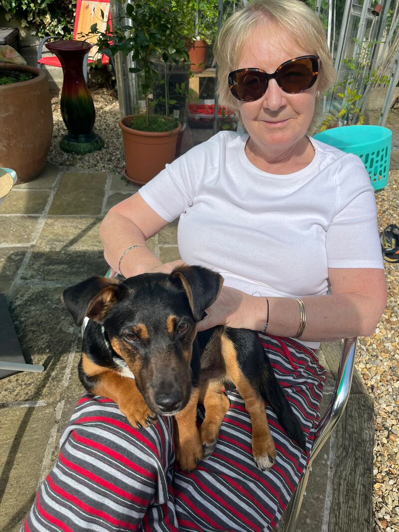 Maeve Heffernan with her Jack Russell, Enzo. She says it’s important to create specific zones for four-legged friends